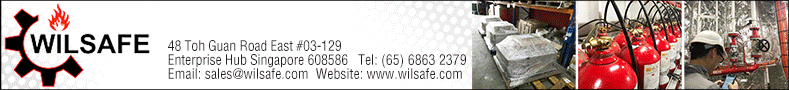 WILSAFE SYSTEMS PTE LTD