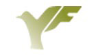 YONG FAH INTERNATIONAL PTE LTD